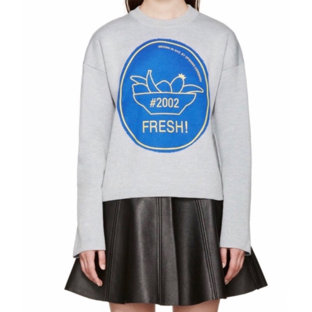 OPENING CEREMONY Fresh Intarsia Wool Blend Sweater Size XS